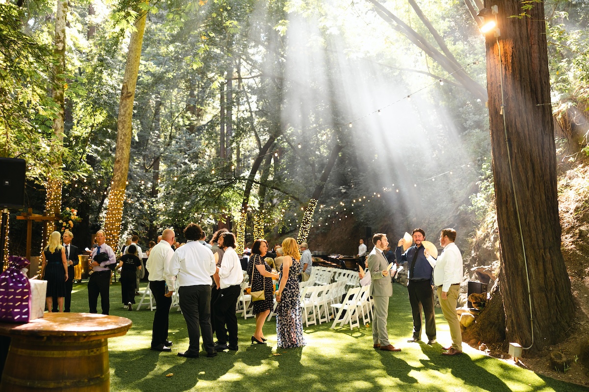 Guests gather during cocktail hour while smoke from the grill catches the light flooding through the tree canopy at Cathedral Grove in Saratoga Springs California.