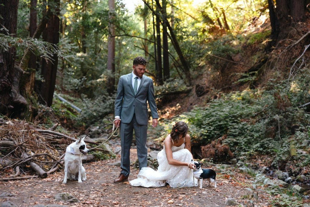 A couple in wedding attire tend to their two dogs in Cathedral Grove at Saratoga Springs, a California wedding venue in the Santa Cruz mountains.
